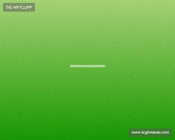 世界旱冰球赛事、世界旱地冰球锦标赛每年有几支球队