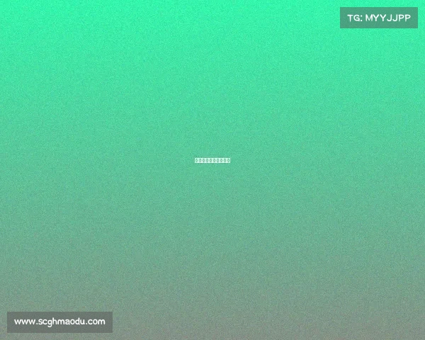 云南省武术散打锦标赛