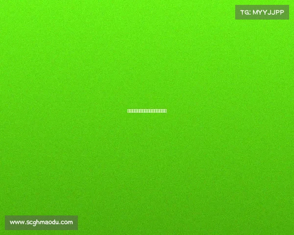 东北电竞人才摇篮：梦想起航的地方