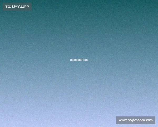 青游电子竞技工作室 青浼电竞